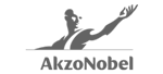 AkzoNobel-Logo